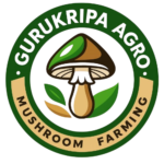 WhatsApp_Image_2026-03-25_at_1.57.14_PM-removebg-preview